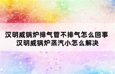 汉明威锅炉排气管不排气怎么回事 汉明威锅炉蒸汽小怎么解决